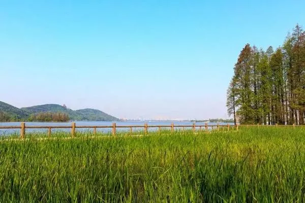 東湖落雁島游玩攻略 交通、門(mén)票、怎么玩等信息都在這了